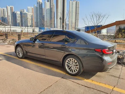 BMW 530e 크롬 딜리트 및 꼭 해야하는 본넷 PPF까지! / 광명, 안양, 시흥