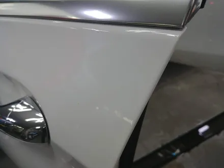 벤츠 E220d 신차는 생활보호 PPF 패키지다! / 광명, 안양, 시흥