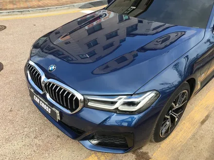 Phytonic Blue 컬러BMW 530e 본넷+도어전체 PPF, 생활스크레치를 차단! / 광명, 안양, 시흥