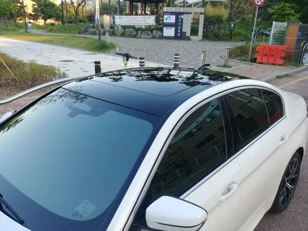 BMW 530e 블랙PPF로 루프스킨 광빨 참을 수 없다. / 광명, 안양, 시흥