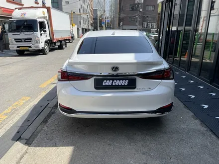 렉서스 ES300h 생활보호패키지 PPF 시공시 장점은? / 광명, 안양, 시흥