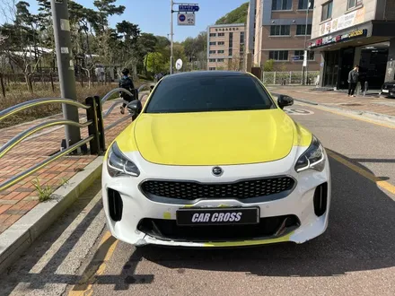 KIA 스팅어 사고수리 후 랩핑 재시공 - 카크로스 - / 광명, 안양, 시흥