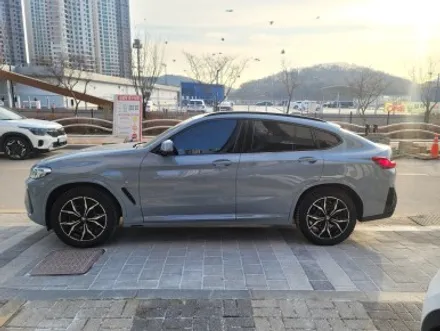 BMW X4 PPF 시공 아직도 안하셨어요? / 광명, 안양, 시흥