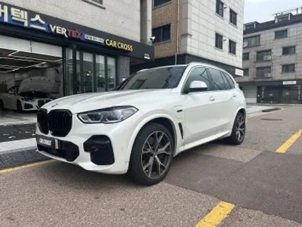 BMW X5 전체 크롬딜리트 & 루프스킨으로 완벽한 드레스업! / 경기 광명