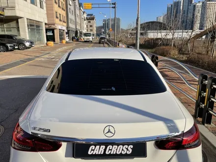 벤츠 E250 블랙 PPF 루프스킨의 광빨 느껴보고 싶으신가요? / 광명, 안양, 시흥