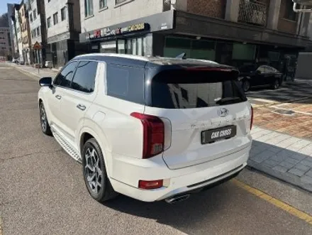 현대 팰리세이드, 전체 PPF 제거 후 새 차와 같은 컨디션으로 완벽 복원! / 경기 광명