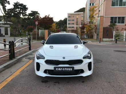 스팅어 루마 버텍스 썬팅 블랙 PPF까지! / 광명, 안양, 시흥