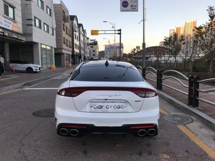 스팅어 루마 버텍스 썬팅 블랙 PPF까지! / 광명, 안양, 시흥