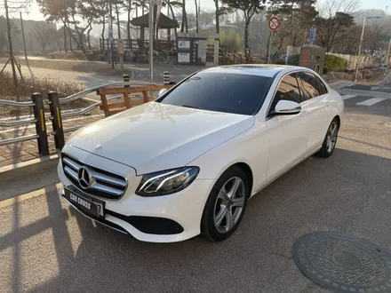 벤츠 E300 블랙 PPF로 루프스킨 왜 하나요? / 광명, 안양, 시흥