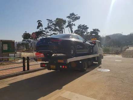 벤츠 CLS 400D AMG line 신차 생활보호 PPF로 고속주행 안심하다! / 경기 광명