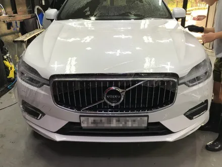 볼보 XC 60 본넷 PPF와 도어 전체 PPF로 차량 보호의 안정성 / 광명, 안양, 시흥