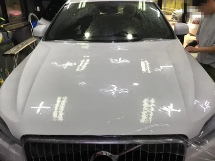 볼보 XC 60 본넷 PPF와 도어 전체 PPF로 차량 보호의 안정성 / 광명, 안양, 시흥