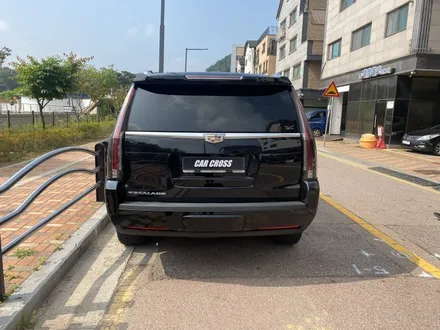 캐딜락 에스컬레이드 롤드함? 실내랩핑 하자 / 광명, 안양, 시흥