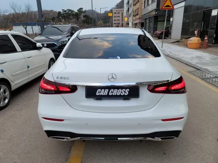벤츠 E클래스 E250 <카크로스> PPF클래스는 다르다 / 광명, 안양, 시흥