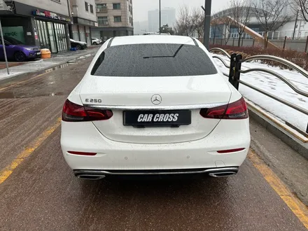 벤츠 E클래스 PPF 어디서? 가장 잘하는 <카크로스> / 광명, 안양, 시흥