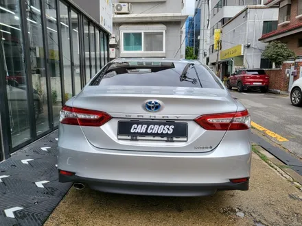토요타 캠리 유광 블루 라즈베리 전체랩핑 차량의 존재감을 나타내고 싶다면? / 광명, 안양, 시흥