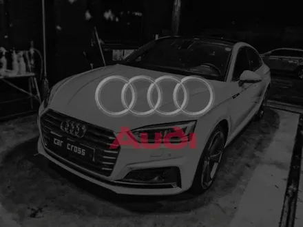 아우디 A5 루마 버텍스900 틴팅 농도는? (With PPF) / 광명, 안양, 시흥