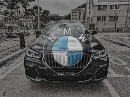 BMW X6 윈도우크롬딜리트란? 루프렉도 동시랩핑! / 광명, 안양, 시흥