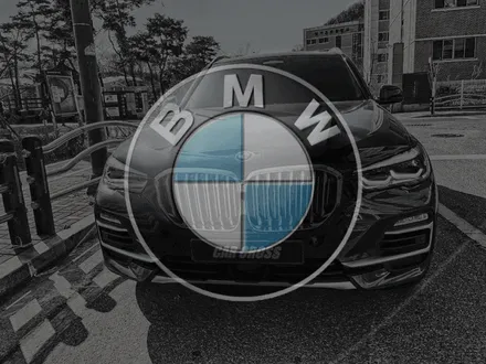 BMW X5 카본블랙이 주는 1석2조의 실내랩핑 시공 효과 / 광명, 안양, 시흥