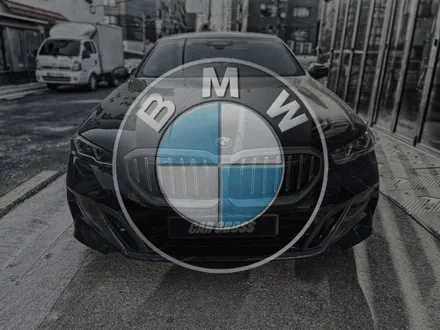 BMW G60전체 PPF  완벽한 광빨과 보호 능력 착용 / 서초, 양재, 강남