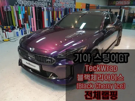 택랩 블랙체리아이스 영롱한 퍼플래핑 X 카드레스스킨 X 스팅어GT / 인천 서구
