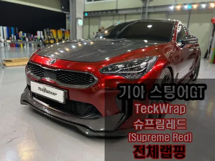 기아 스팅어 택랩(Teckwrap) \