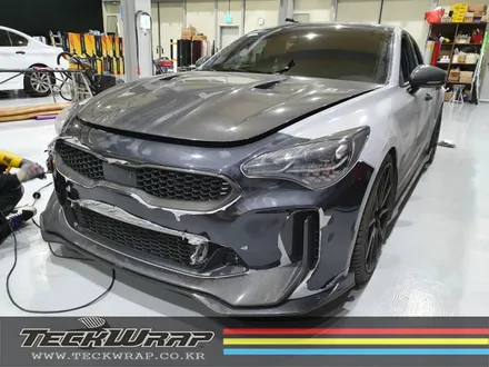 기아 스팅어 택랩(Teckwrap) \