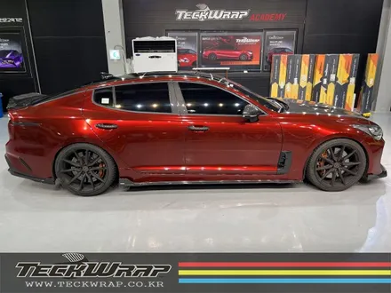 기아 스팅어 택랩(Teckwrap) \