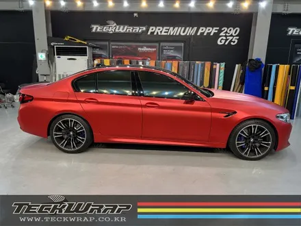 BMW 찐 M5 \