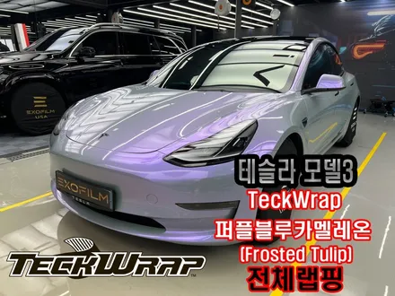 스톤칩,스크래치 많은 테슬라 모델3 전체랩핑으로 재탄생 / 인천 서구 가좌동