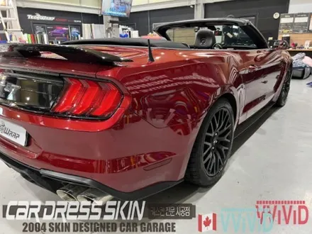 머스탱 쉘비 GT500 풀바디킷 컨버터블 튜닝차량 \