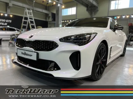 인천 랩핑 기아 스팅어GT \'화이트카멜레온\' 하이그로시 화이트 인천 랩핑 / 인천 서구