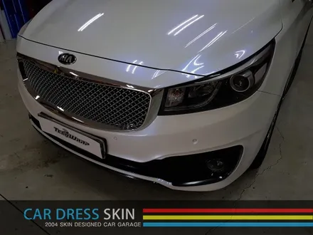 최강 패밀리 SUV 기아 올뉴카니발에 화이트 카멜레온 랩핑을?! / 인천 서구