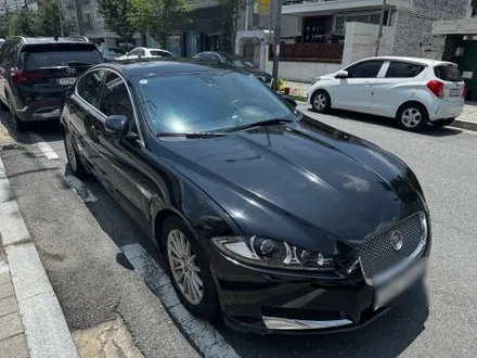 말도 안되게 다 갈라진 에이버리 필름 전체 제거 시공 (36시간) / 대전 중구