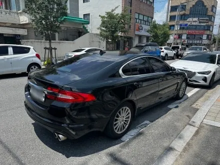 말도 안되게 다 갈라진 에이버리 필름 전체 제거 시공 (36시간) / 대전 중구