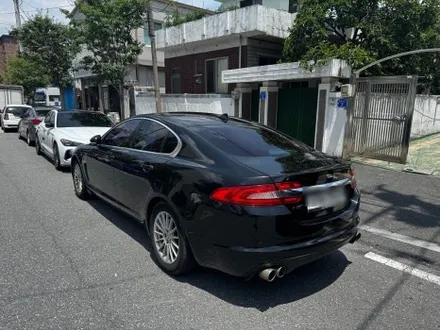 말도 안되게 다 갈라진 에이버리 필름 전체 제거 시공 (36시간) / 대전 중구