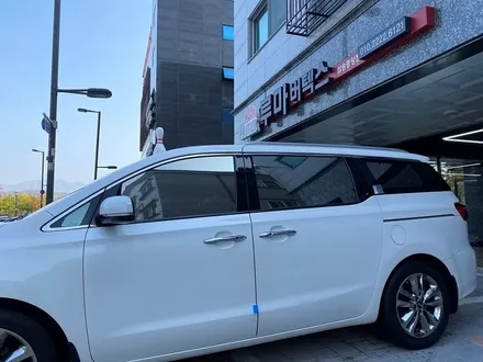 올 뉴 카니발의 루마 버텍스650 썬팅 재시공 일산삼송 / 고양 덕양구 삼송동