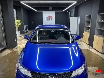 포르테쿱 블루 루마썬팅 재시공 - DS.Auto - / 고양 덕양구 삼송동