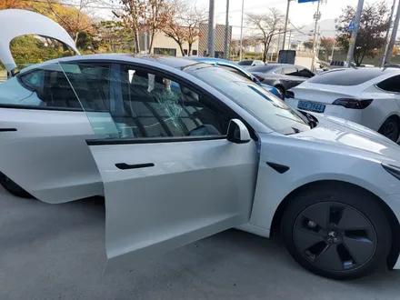 부산 신차패키지 테슬라모델3 썬팅 광각미러 받으셨어요 (부산강서점) / 대구시 수성구