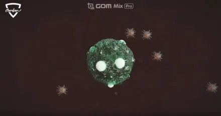 카디언 썬팅! 그런데 진짜 효과 있을까? (99.9%도 아니고 100% / 대구시 수성구