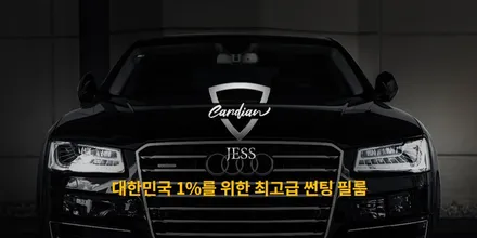 카니발 KA4 진짜 꼼꼼한 부산 신차패키지 작업 / 대구시 수성구
