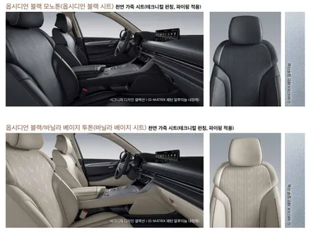 [제네시스 GV80] 색상 옵션 가격 총정리 / 대구시 수성구