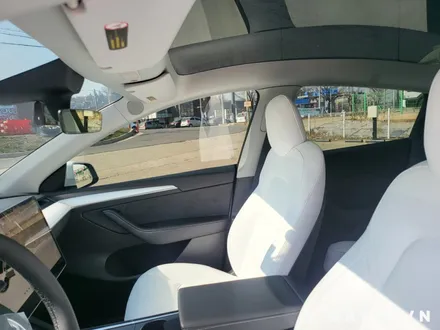 테슬라 모델Y 화이트 시트에 썬팅을 하면 / 대구시 수성구