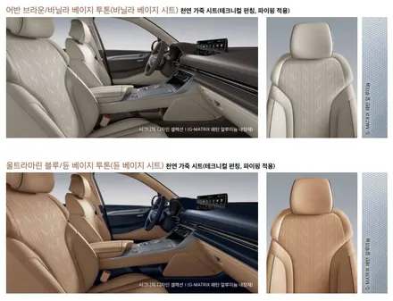 [제네시스 GV80] 색상 옵션 가격 총정리 / 대구시 수성구