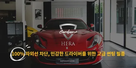 카디언 썬팅! 그런데 진짜 효과 있을까? (99.9%도 아니고 100% / 대구시 수성구