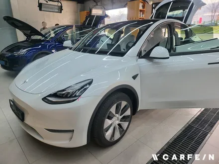 테슬라 모델Y 화이트 시트에 썬팅을 하면 / 대구시 수성구