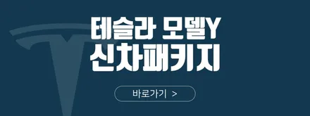 전라광주신차검수 썬팅, 테슬라 모델3 고무매트 서비스 진행! / 대구시 수성구