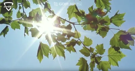 카디언 썬팅! 그런데 진짜 효과 있을까? (99.9%도 아니고 100% / 대구시 수성구