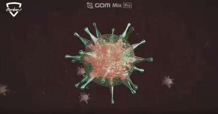 카디언 썬팅! 그런데 진짜 효과 있을까? (99.9%도 아니고 100% / 대구시 수성구