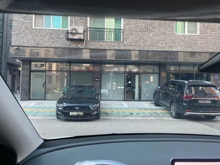테슬라 모델Y 하버캠프 세라믹본드로 신차패키지! / 구리 토평동